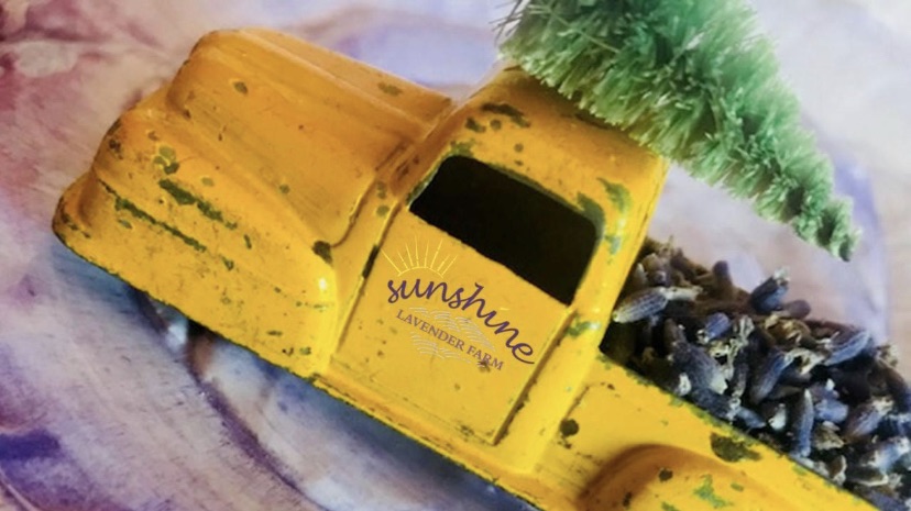 401794367_728285326006086_5001190116509983110_n