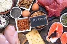 plant protein vs. animal protein