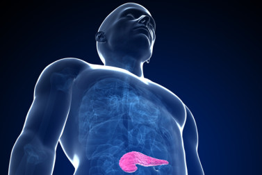 pancreas pain