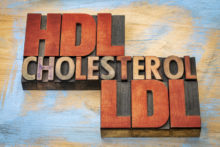 hdl vs. ldl