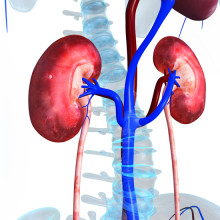 kidney pain