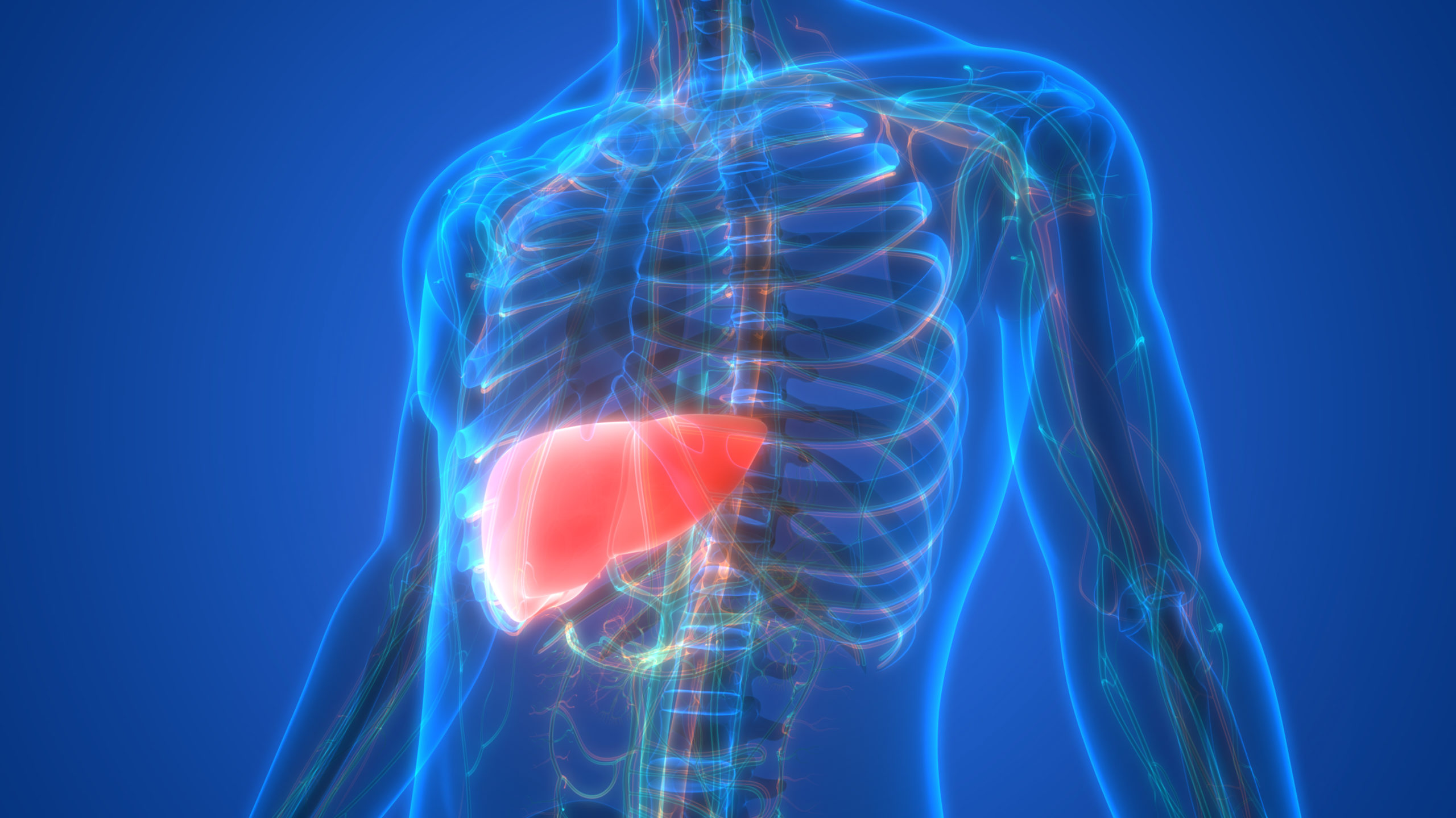 nonalcoholic fatty liver disease