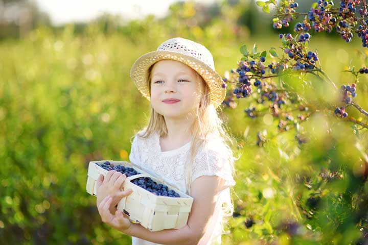 Child holding a basket of organic produce