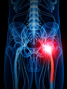 sciatic nerve