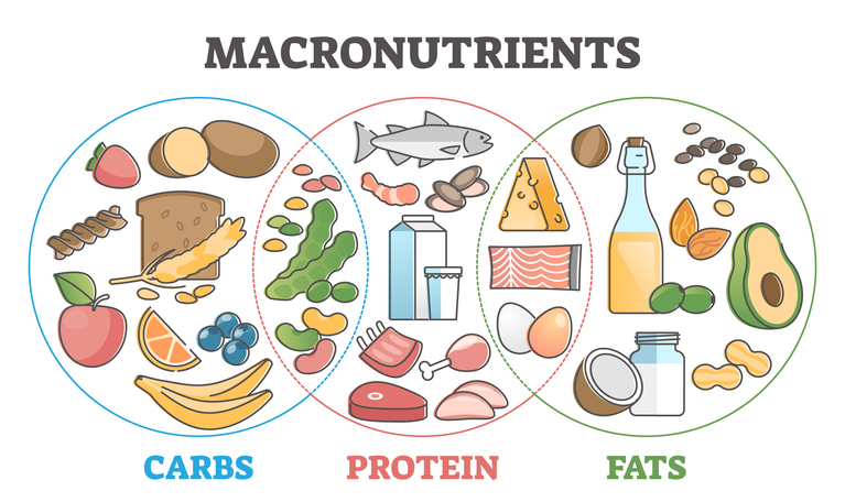 what are macronutrients