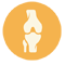 Category icon for Bones & Joints